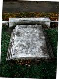 image of grave number 50556